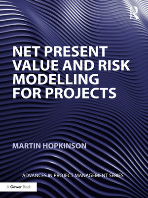 cover image of Net Present Value and Risk Modelling for Projects